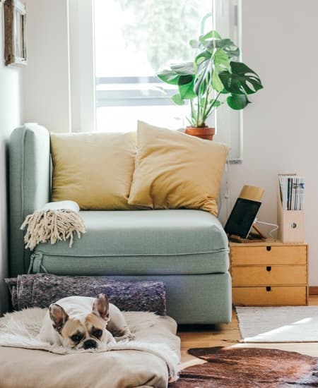Tasks banner